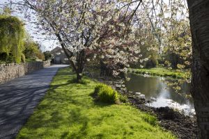 Crakehall bedale gorgeous 6.jpg